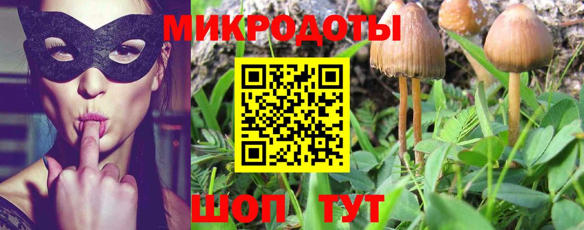 Псилоцибиновые грибы Psilocybine cubensis Зеленокумск
